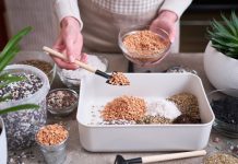 Что добавить в грунт для здоровья комнатных растений — 10 лучших вариантов Что добавить в грунт для здоровья комнатных растений — 10 лучших вариантов