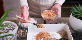 Что добавить в грунт для здоровья комнатных растений — 10 лучших вариантов - Лучшее Что добавить в грунт для здоровья комнатных растений — 10 лучших вариантов