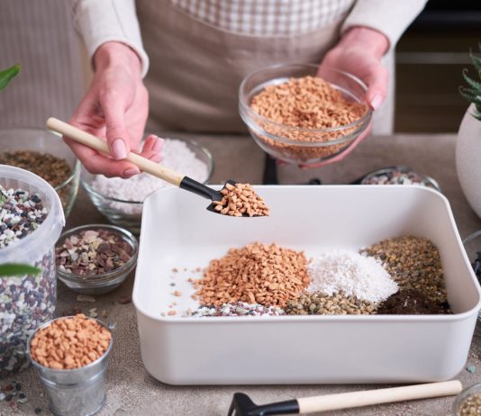 Что добавить в грунт для здоровья комнатных растений — 10 лучших вариантов - Комнатные растения Что добавить в грунт для здоровья комнатных растений — 10 лучших вариантов