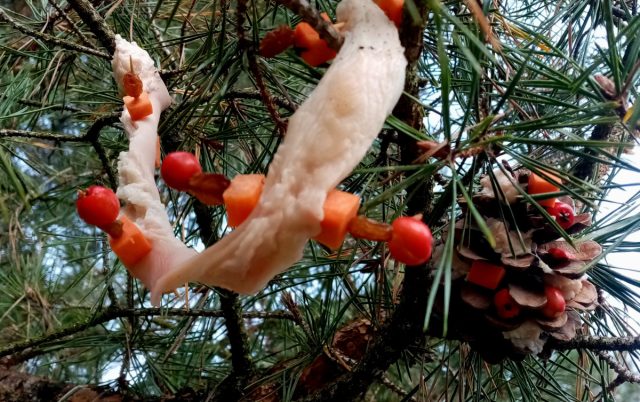 Свиная шкурка с витаминами для синичек