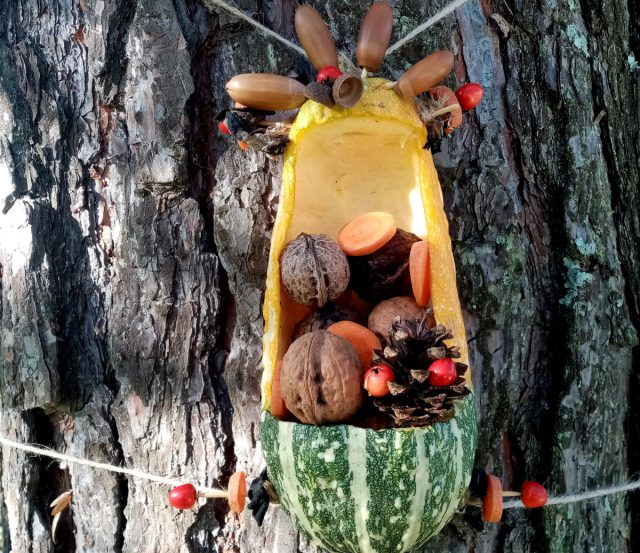 Кормушки для белок предпочтительнее декорировать шишками, желудями. И размещать их желательно поближе к границе участка, или даже в лесу, если он поблизости