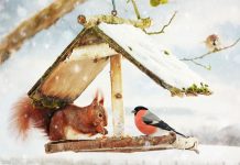 Как можно украсить сад вкусняшками для белок и птичек?