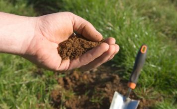 Как определить тип почвы на даче, не делая ни одного анализа