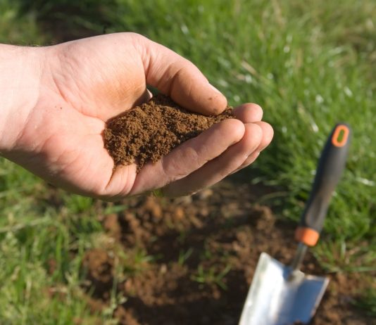 Как определить тип почвы на даче, не делая ни одного анализа