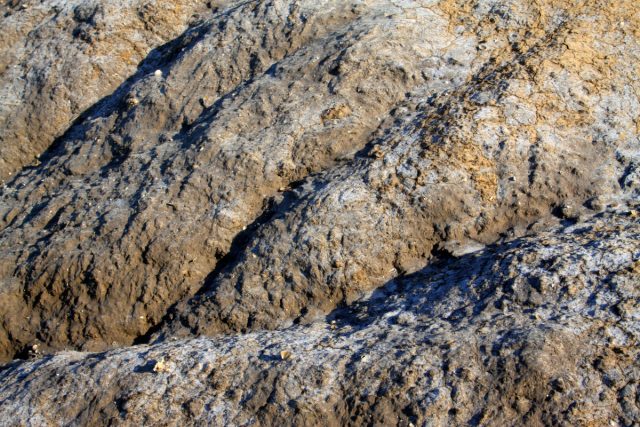 Белесый налёт или корка на поверхности — частый признак избытка щёлочи или солей. Здесь растения «голодают» и желтеют даже при подкормках. Лечение обратное: подкислять грунт верховым торфом, хвоей или серными добавками.