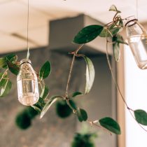 Короткие и небольшие емкости лучше использовать для молодых сеянцев, некрупных и воздушных растений. Стеклянные емкости лучше использовать для молодых сеянцев или некрупных растений — из-за веса конструкции.