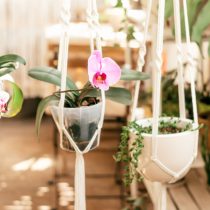 Плетеные в технике макраме подвесы — изящное решение для оформления окна. Они позволяют эффектно разместить светолюбивые растения, вроде орхидей и суккулентов, не загромождая подоконник.