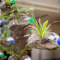 Пластиковые бутылки это не только творческий элемент декора, но и способ уменьшить количество отходов и сделать дом более экологичным. Пластиковые бутылки можно превратить в подвесные мини-горшки для растений. Это не только творческий элемент декора, но и способ уменьшить количество отходов и сделать дом более экологичным.