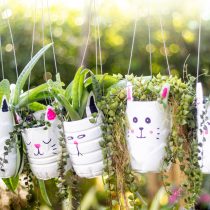 Пластиковые бутылки отлично подходят для подвесных мини-горшков с растениями в особенности тем, у кого есть дети: это простой и веселый способ занять их. Пластиковые бутылки отлично подходят для подвесных мини-горшков с растениями в особенности тем, у кого есть дети: это простой и веселый способ занять их.