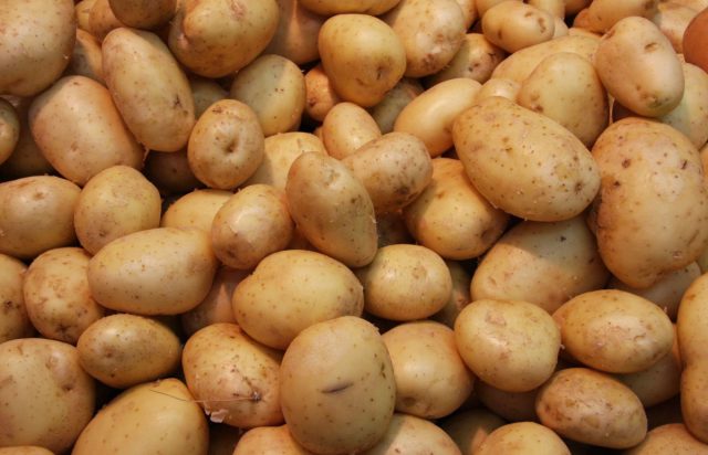 Гала: Новая классика среди картофеля: ровные клубни, универсальная текстура, стабильный урожай 400–500 кг с сотки. Лежкость хорошая, мякоть не темнеет, подходит для супов, пюре, жарки и запекания — сорт без сюрпризов. Гала: Новая классика среди картофеля: ровные клубни, универсальная текстура, стабильный урожай 400–500 кг с сотки. Лежкость хорошая, мякоть не темнеет, подходит для супов, пюре, жарки и запекания — сорт без сюрпризов.