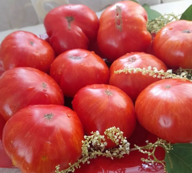 Японский стелющийся. Интересный сорт с толстыми побегами, расползающимися по грядке на 60–80 см. Куст всего 25–35 см, пасынковать нельзя. Плоды 100–200 г, плотные, с насыщенным томатным вкусом. Урожай высокий, куст не боится ветра.