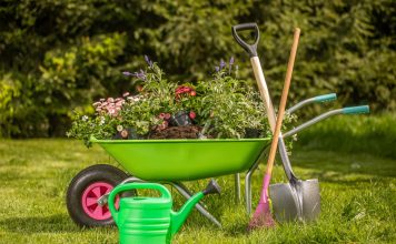 Лучшие статьи 2025 года