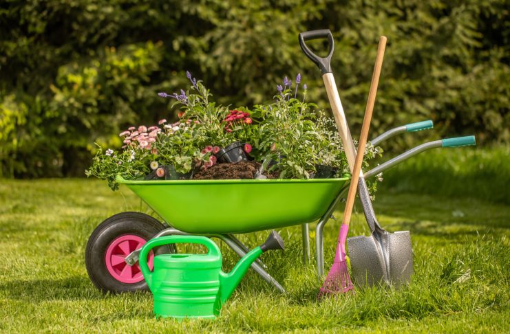 Лучшие статьи 2025 года