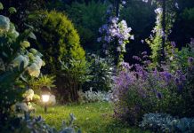 Создаём «лунный» сад своими руками — магия ночи у вас во дворе Создаем «лунный» сад своими руками — ваш участок не будет прежним