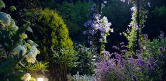 Создаём «лунный» сад своими руками — магия ночи у вас во дворе - Лучшее Создаем «лунный» сад своими руками — ваш участок не будет прежним