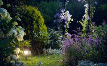 Создаем «лунный» сад своими руками — ваш участок не будет прежним