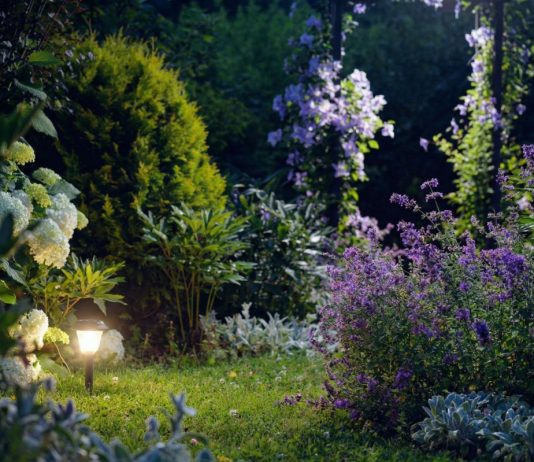 Создаем «лунный» сад своими руками — ваш участок не будет прежним