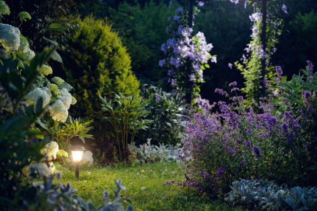 Создаём «лунный» сад своими руками — магия ночи у вас во дворе Создаём «лунный» сад своими руками — магия ночи у вас во дворе