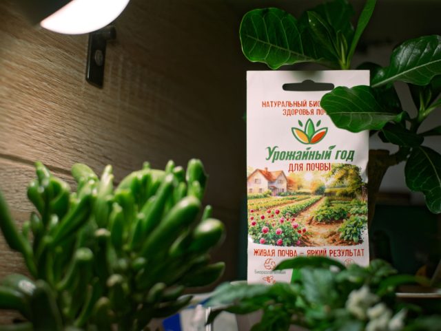 «Усталая почва» проявляется переуплотнением, плохим впитыванием воды и застоем на поверхности. Как результат, растения необъяснимо вянут. «Усталая почва» проявляется переуплотнением, плохим впитыванием воды и застоем на поверхности. Как результат, растения необъяснимо вянут.