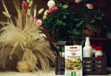 Как сохранить живую почву и поддержать органический баланс с «Урожайным годом» Как сохранить живую почву и поддержать органический баланс с «Урожайным годом»