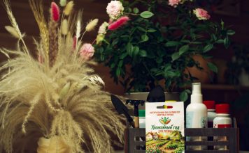 Как сохранить живую почву и поддержать органический баланс с «Урожайным годом»