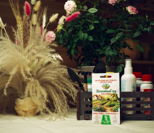 Как сохранить живую почву и поддержать органический баланс с «Урожайным годом»