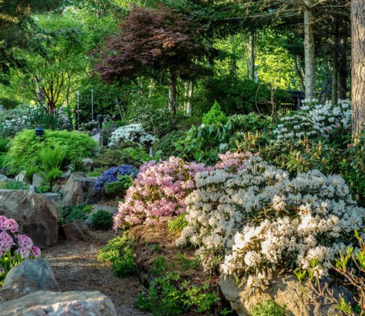 Что такое ремиза — живой сад, который помогает растениям и животным - Цветник и ландшафт бесконтрольная эксплуатация окружающего мира заставила нас задуматься: как сохранить то, что еще можно спасти? Оказалось, что чисто психологически люди не могут долго обходиться без связи с живой средой.