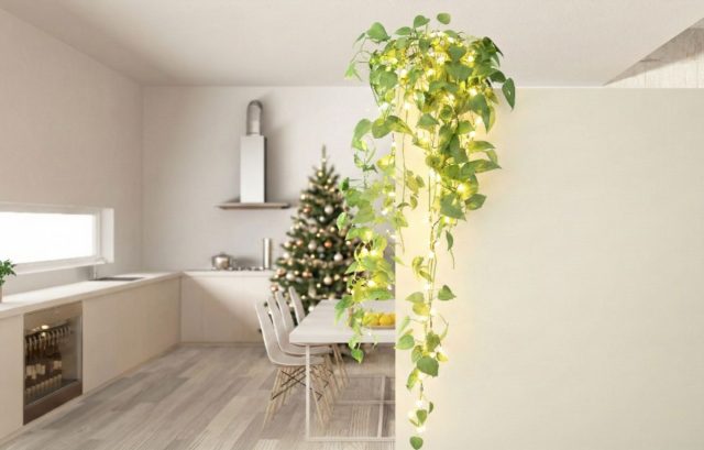 Эпипремнум золотистый особенно эффектно смотрится с подсветкой: аккуратно обвитая вокруг побегов или горшка гирлянда с мелкими LED-огоньками придаёт растению мягкое сияние и усиливает ощущение праздника. Эпипремнум золотистый особенно эффектно смотрится с подсветкой: аккуратно обвитая вокруг побегов или горшка гирлянда с мелкими LED-огоньками придаёт растению мягкое сияние и усиливает ощущение праздника.