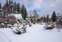 Тонкости ухода за участком зимой – удобство, порядок и безопасность Тонкости ухода за участком зимой – удобство, порядок и безопасность