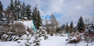 Тонкости ухода за участком зимой – удобство, порядок и безопасность - Лучшее Тонкости ухода за участком зимой – удобство, порядок и безопасность