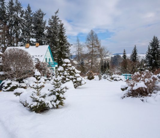 Тонкости ухода за участком зимой – удобство, порядок и безопасность