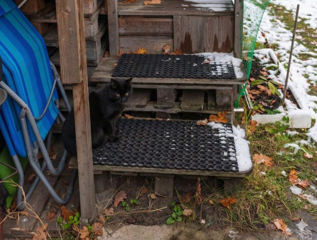 Эффективное решение — резиновые накладки или коврики с ячеистой структурой. Они обеспечивают отличное сцепление в мороз, легко монтируются на любые поверхности и делают передвижение безопасным для всех обитателей дома. Эффективное решение — резиновые накладки или коврики с ячеистой структурой. Они обеспечивают отличное сцепление в мороз, легко монтируются на любые поверхности и делают передвижение безопасным для всех обитателей дома.