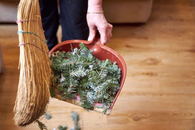Романтика живой ели заканчивается там, где начинается уборка. Иголки будут везде: в ковре, в тапках и даже в шерсти кота. Готовы потратить весь январь на выметание колючего «наследия» праздника? Я — больше нет.