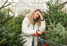 Живая ёлка против искусственной — разбираемся раз и навсегда Живая ёлка против искусственной — разбираемся раз и навсегда