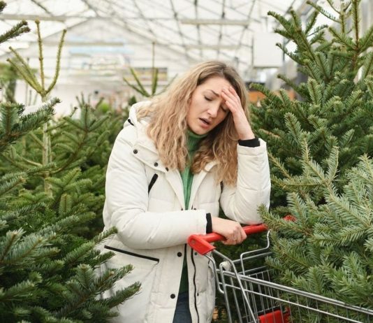 Живая ёлка против искусственной — разбираемся раз и навсегда