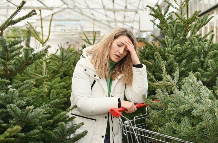 Живая ёлка против искусственной — разбираемся раз и навсегда