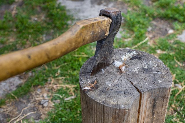 Рано или поздно кур приходится резать самому. Это не абстрактное «мясо», а живое существо, за которым ты ухаживал. Для многих именно этот момент становится психологической точкой невозврата.