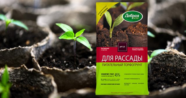 Чтобы улучшить приживаемость растений, высаживать рассаду следует в специальный субстрат. Его же стоит использовать и для посева семян. Высокой эффективностью обладает питательный торфогрунт для рассады Добрая сила.
