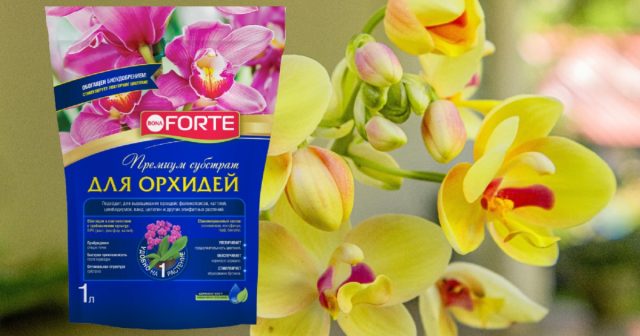 Субстрат для орхидей Bona Forte