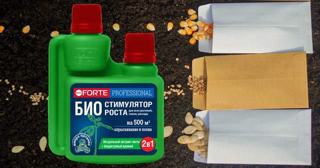 Чтобы повысить шансы на появление всходов, важно осуществить подготовку семян к посеву. Отличный результат можно получить, выполнив обработку семенного материала био-стимулятором роста Bona Forte.