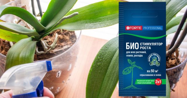 Био-стимулятор Bona Forte