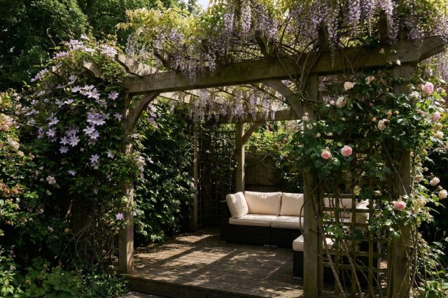 Пергола с вьющимися растениями — это изящный способ нарастить высоту забора без глухих стен. Она создает уютный зеленый шатер, который защищает от взглядов сверху и превращает обычную границу участка в зону отдыха. Пергола с вьющимися растениями — это изящный способ нарастить высоту забора без глухих стен. Она создает уютный зеленый шатер, который защищает от взглядов сверху и превращает обычную границу участка в зону отдыха.