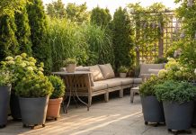 Как спрятать участок от соседских глаз? Лучшие идеи