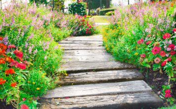 Что посадить вдоль дорожек — 16 цветов, которые я советую всем