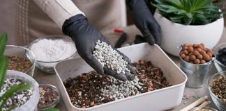 Цеолит в горшке и на грядке — улучшает даже безнадёжную почву