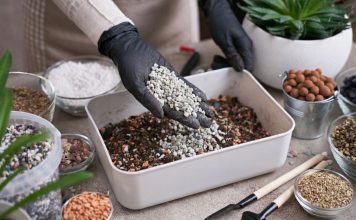 Цеолит в горшке и на грядке — улучшает даже безнадёжную почву