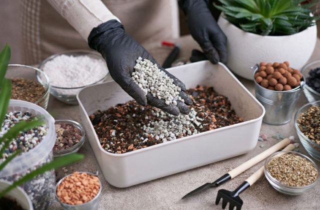 Цеолит в горшке и на грядке — улучшает даже безнадёжную почву