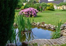 Как безопасно очищать дачные водоёмы и бассейны?