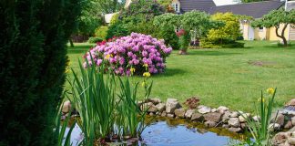 Как безопасно очищать дачные водоёмы и бассейны?