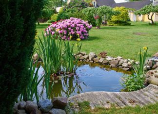 Как безопасно очищать дачные водоёмы и бассейны?